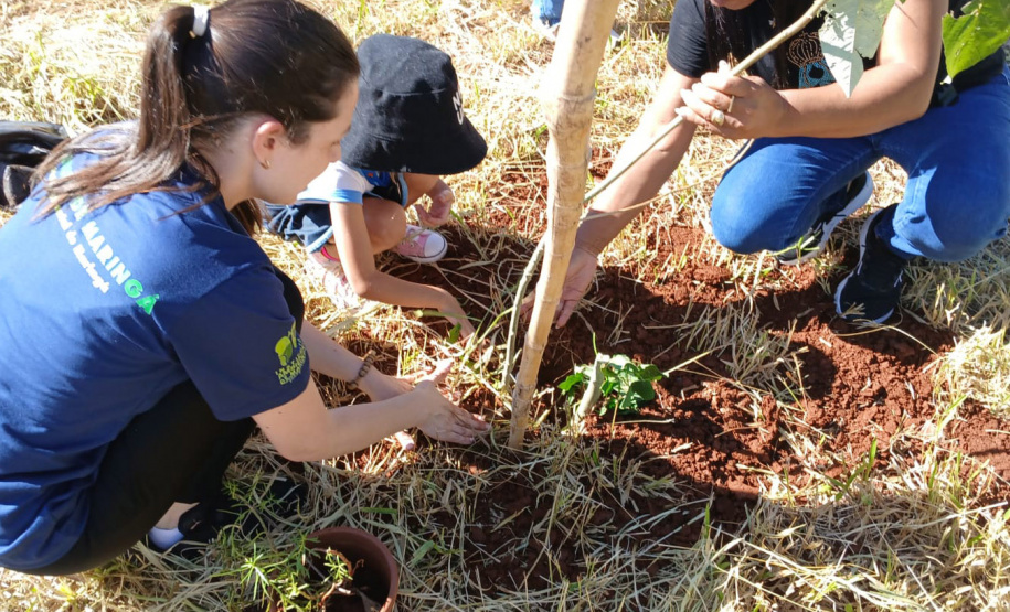 Ações ambientais organizadas pelo IAT para comemorar o Dia Mundial da Água distribuíram mais de oito mil mudas de espécies nativas