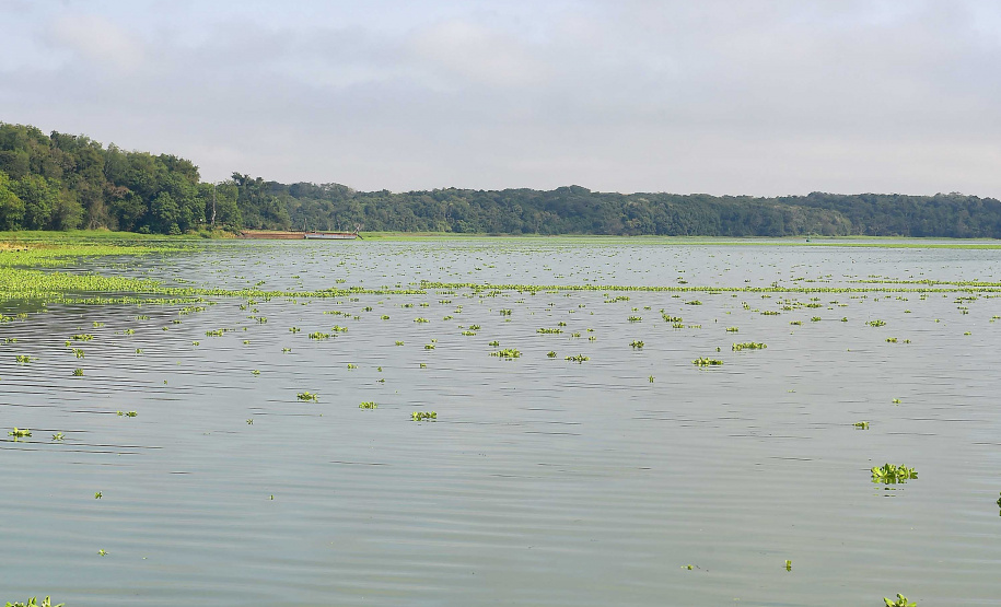 IAT Dia Mundial da Água
