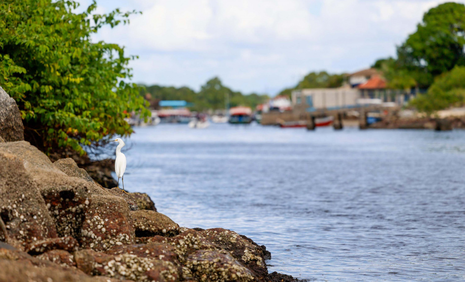 o governador Carlos Massa Ratinho Junior sancionou a lei que estabelece o novo marco regulatório da Ilha do Mel, um dos principais destinos turísticos do Paraná.