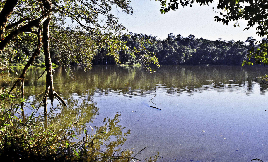 IAT Dia Mundial da Água