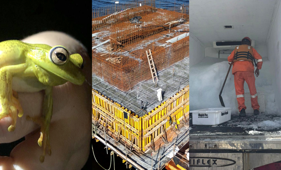 DER - PROGRAMA AMBIENTAL PONTE DE GUARATUBA