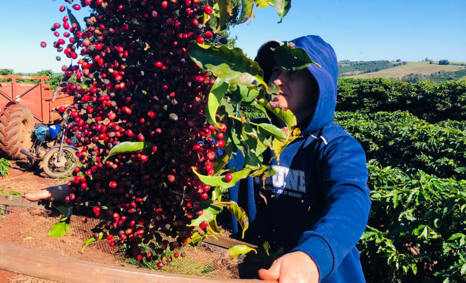 IDR-Paraná tem ações voltadas ao fortalecimento das mulheres no meio rural