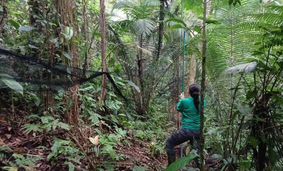 Programa ambiental Ponte de Guaratuba