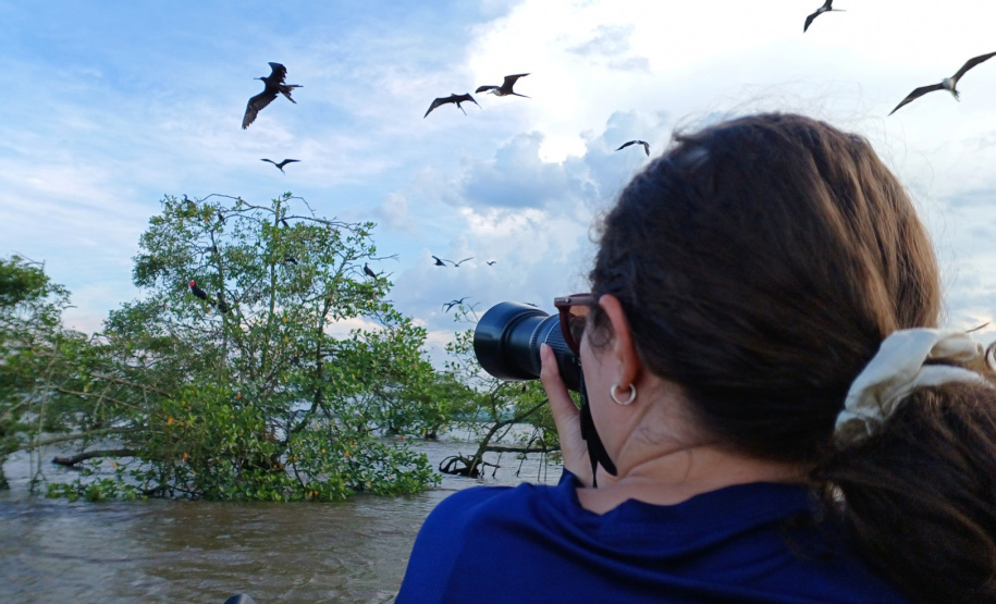 Programa ambiental Ponte de Guaratuba
