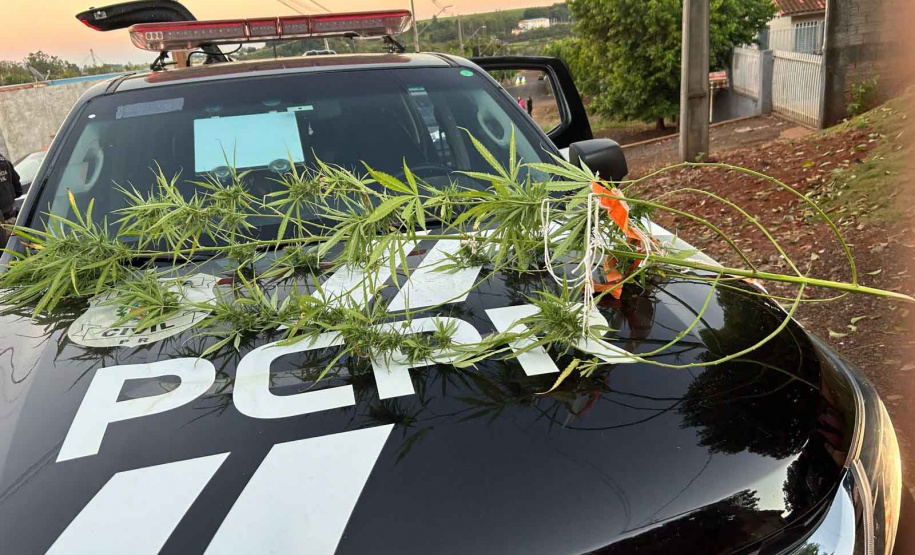 PCPR e PMPR prendem quatro pessoas em operação integrada em Santo Antônio do Sudoeste