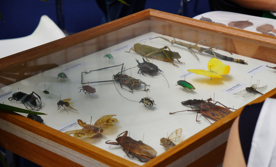 Smart City Expo: Governo do Paraná destaca inovação em geoprocessamento para cidades inteligentes