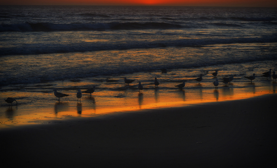 Ilha do Mel e Monge estão entre os parques estaduais mais visitados do país
