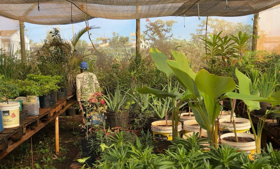 POLICIA PENAL IMPULSIONA REINTEGRAÇÃO SOCIAL