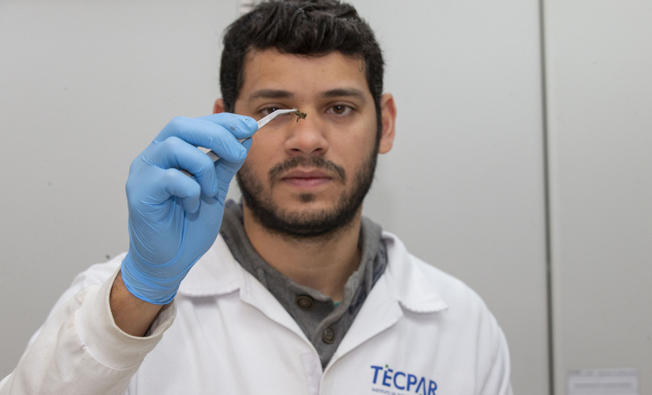 CINCO SERVIÇOS QUE O TECPAR REALIZA E VOCÊ NEM IMAGINA