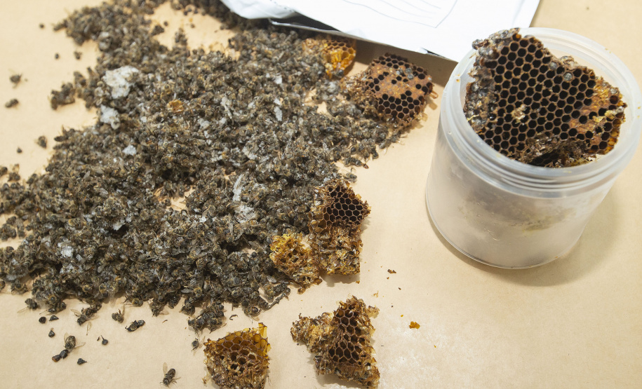 CINCO SERVIÇOS QUE O TECPAR REALIZA E VOCÊ NEM IMAGINA