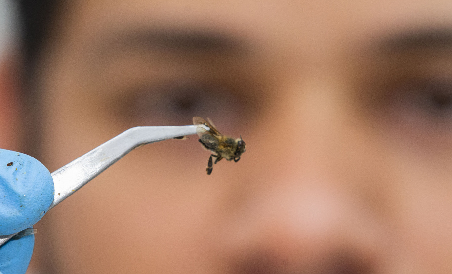 CINCO SERVIÇOS QUE O TECPAR REALIZA E VOCÊ NEM IMAGINA