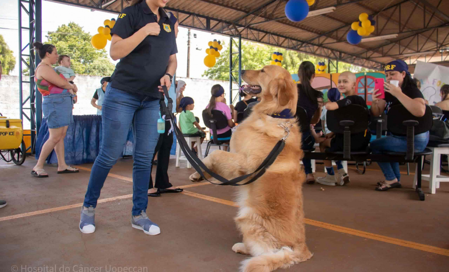 Sorteio de março do Nota Paraná premia 37 entidades sociais em 29 cidades