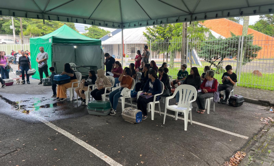 Passagem do CastraPet Paraná por São José dos Pinhais beneficiou 687 animais, entre cães e gatos, de diferentes ONGs e protetoras independentes
