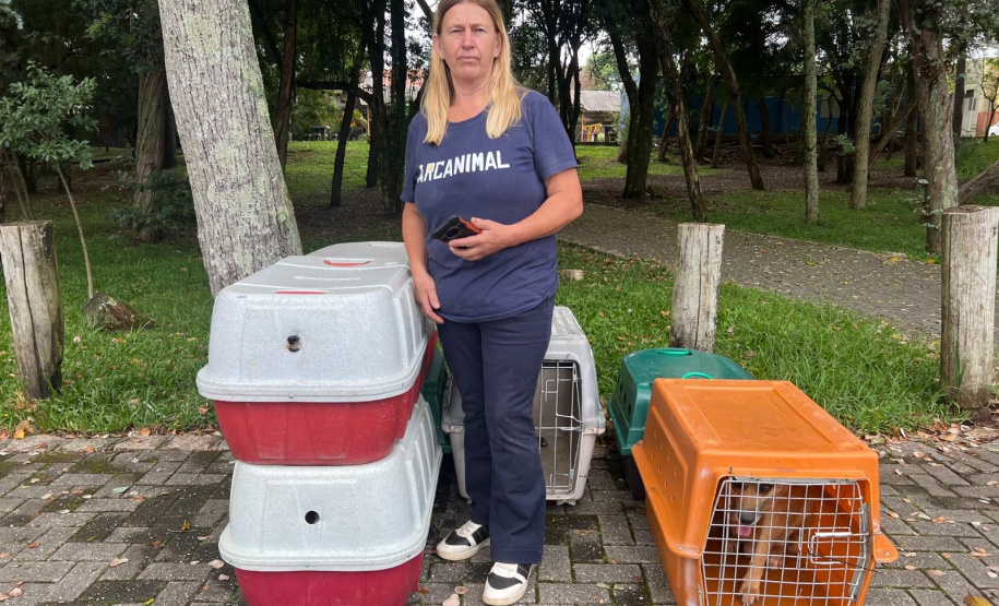 Passagem do CastraPet Paraná por São José dos Pinhais beneficiou 687 animais, entre cães e gatos, de diferentes ONGs e protetoras independentes