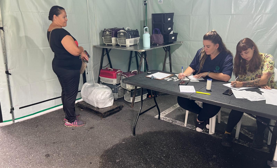 Passagem do CastraPet Paraná por São José dos Pinhais beneficiou 687 animais, entre cães e gatos, de diferentes ONGs e protetoras independentes