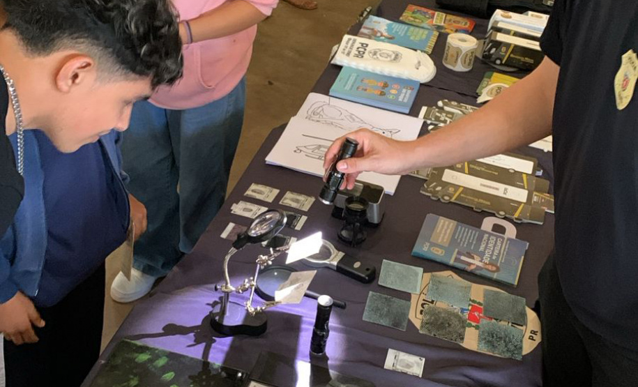 SEJU PARANÁ EM AÇÃO