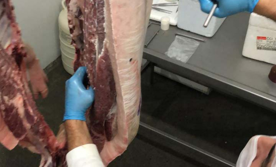 Projeto Porco Moura/UFPR