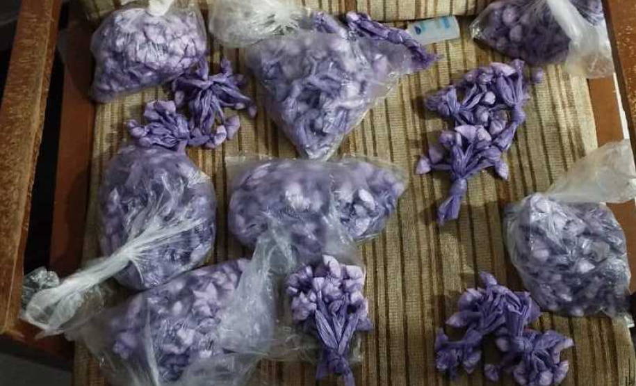 PCPR, PMPR e GCM apreendem mais de mil porções de cocaína em ação contra o delivery de drogas no Norte