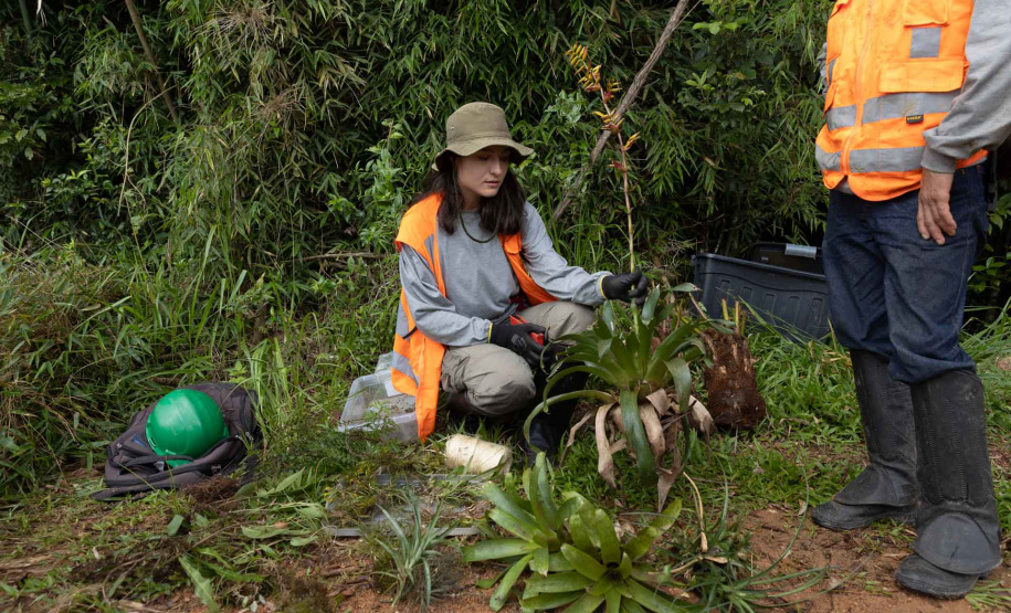 SANEPAR RESGATA ANIMAIS REPLANTIO VEGETAÇÃO
