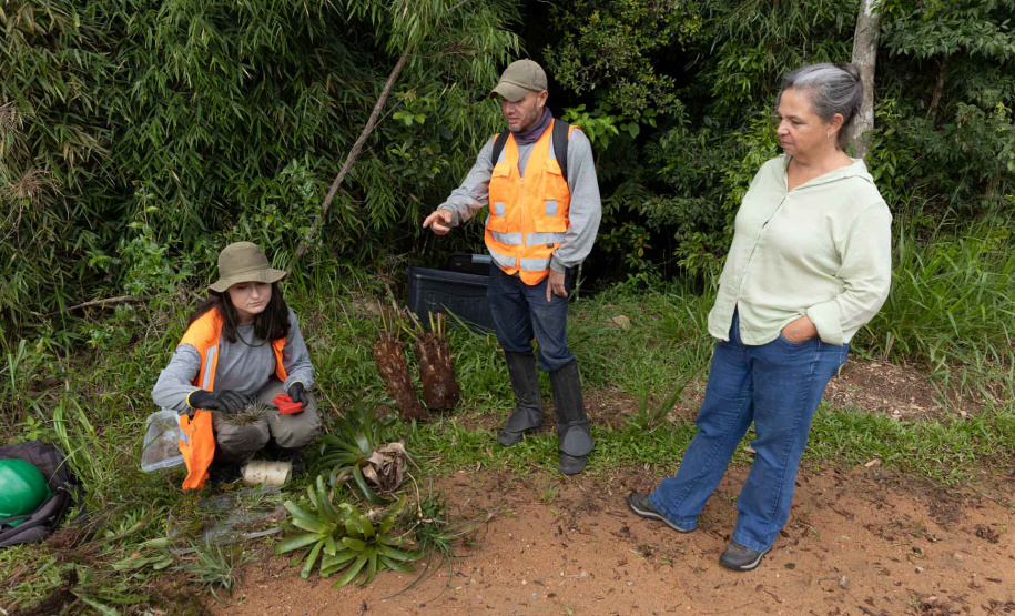 SANEPAR RESGATA ANIMAIS REPLANTIO VEGETAÇÃO