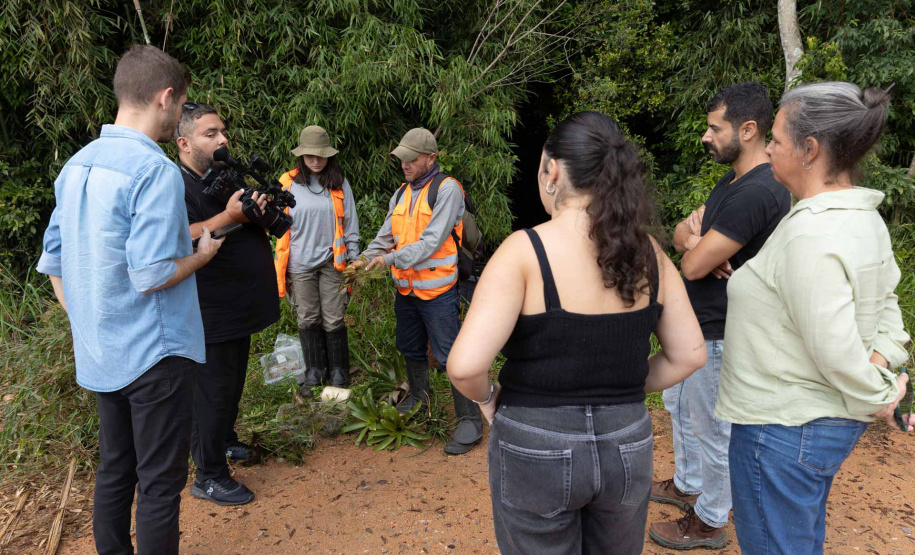 SANEPAR RESGATA ANIMAIS REPLANTIO VEGETAÇÃO