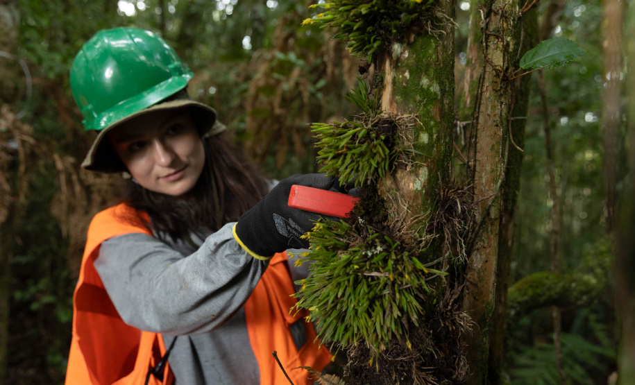 SANEPAR RESGATA ANIMAIS REPLANTIO VEGETAÇÃO