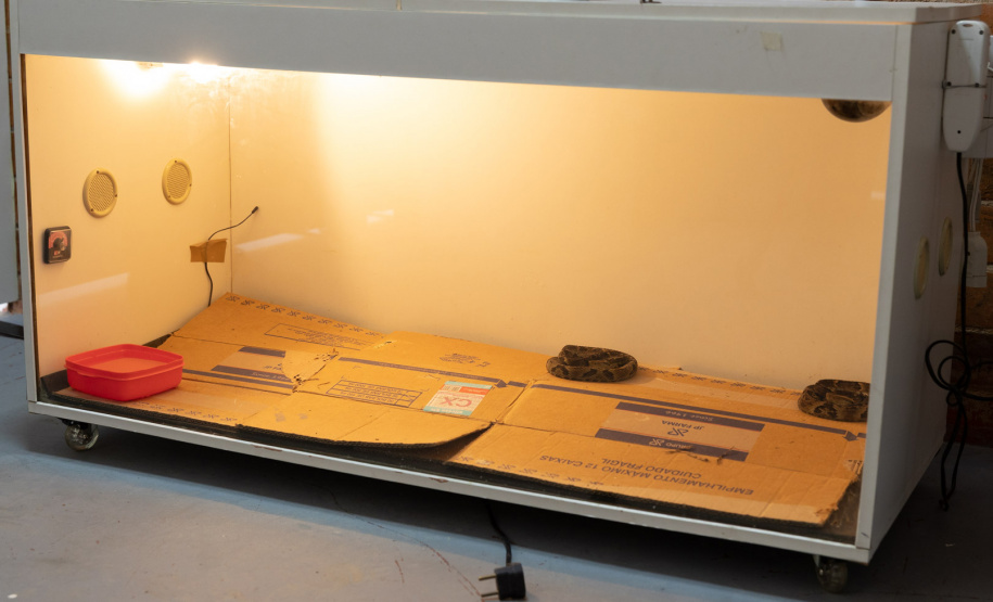 SANEPAR RESGATA ANIMAIS REPLANTIO VEGETAÇÃO