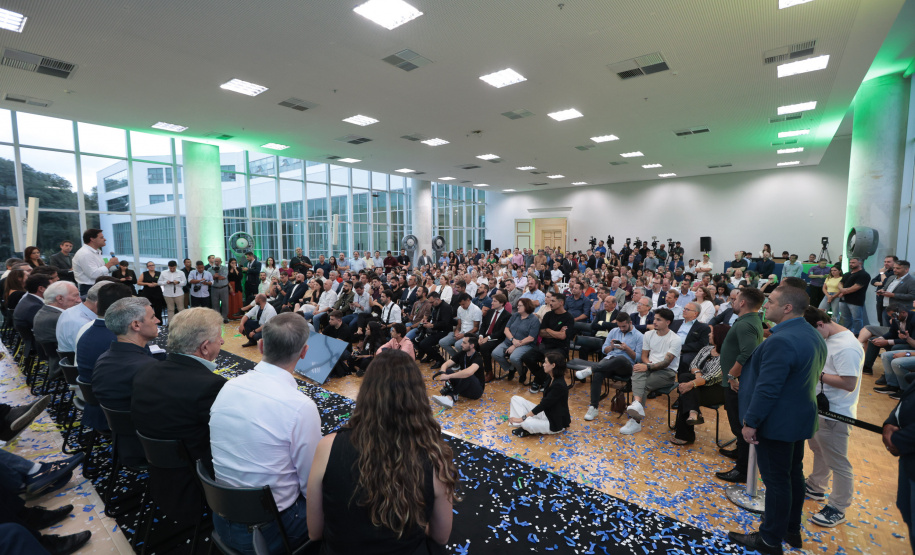 GOVERNADOR - LINHA VERDE