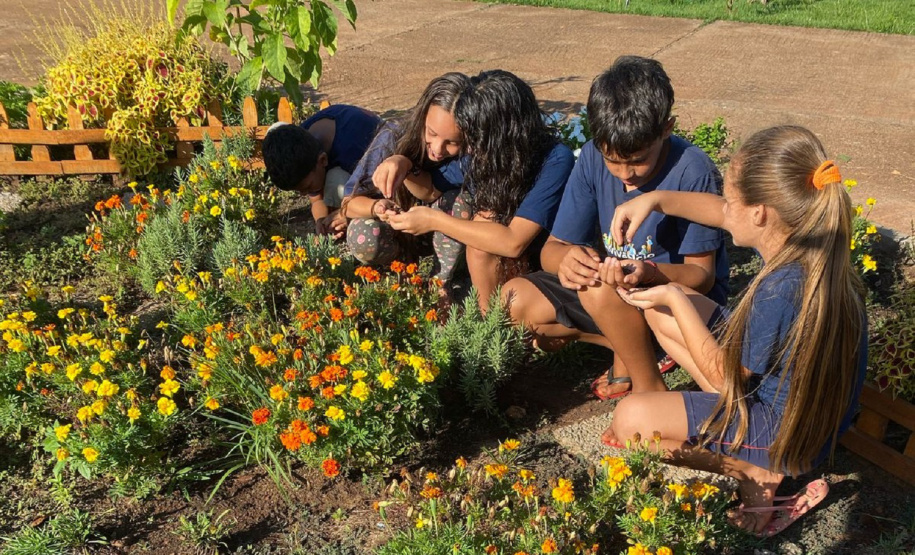 SANEPAR AÇÕES SOCIOAMBIENTAIS LONDRINA