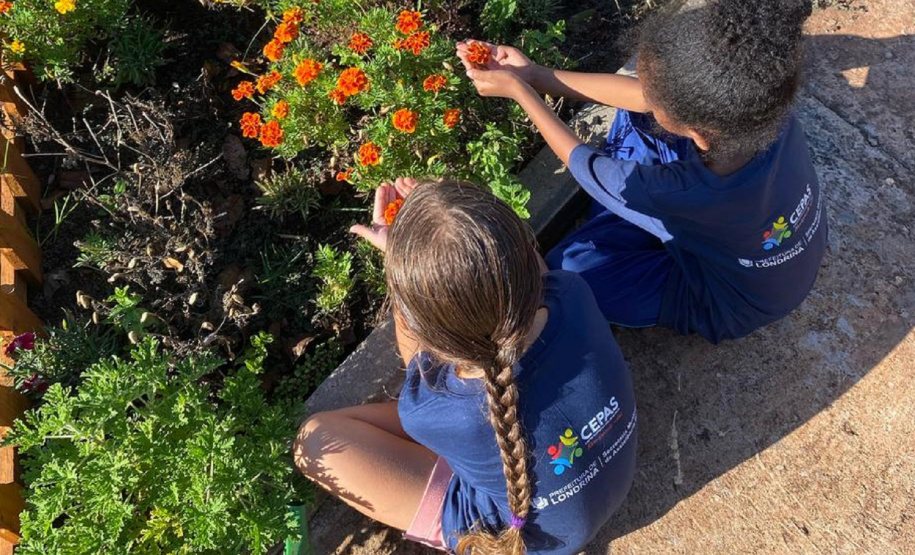 SANEPAR AÇÕES SOCIOAMBIENTAIS LONDRINA