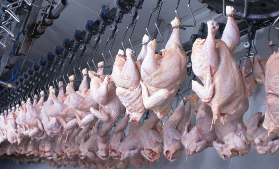 EXPORTAÇÃO DE CARNE SUÍNA