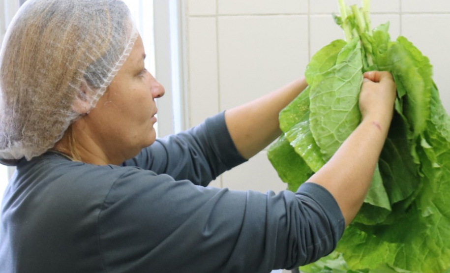 1 em cada 4 alimentos da agricultura familiar destinados às escolas do Paraná são orgânicos