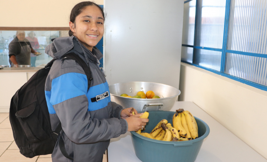1 em cada 4 alimentos da agricultura familiar destinados às escolas do Paraná são orgânicos