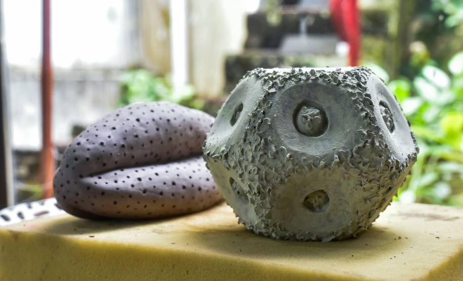 Natureza Invisível: conheça Milena Celli, a nova residente da Academia Alfredo Andersen