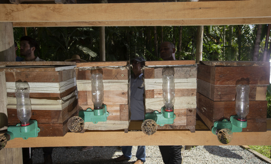 TECPAR UNESPAR ABELHA