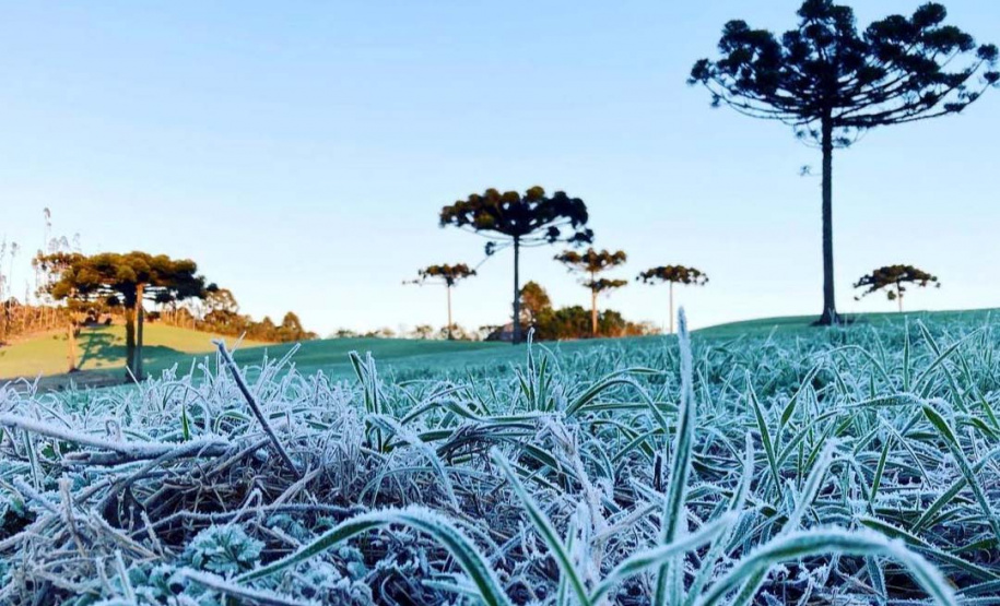 IDR-Paraná e Simepar dão início ao Alerta Geada 2025