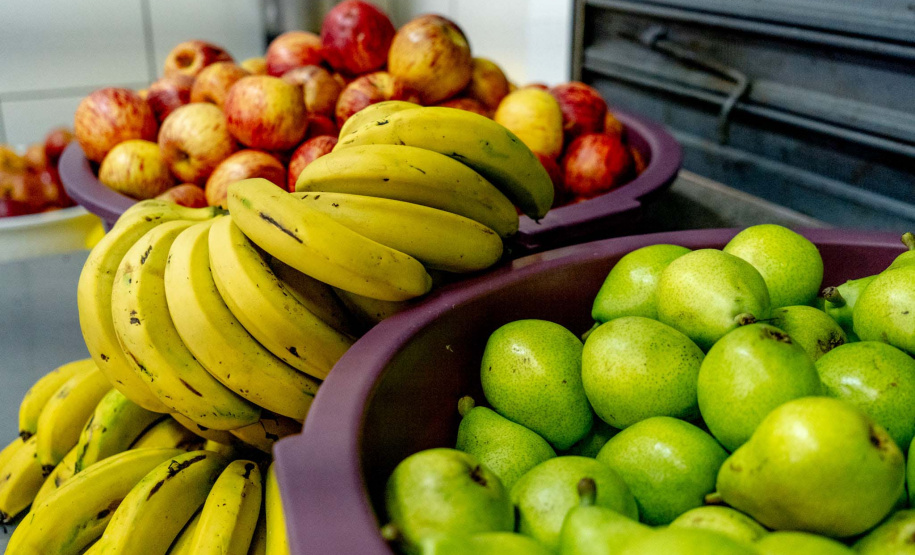 1 em cada 4 alimentos da agricultura familiar destinados à alimentação escolar da rede estadual de ensino são orgânicos
