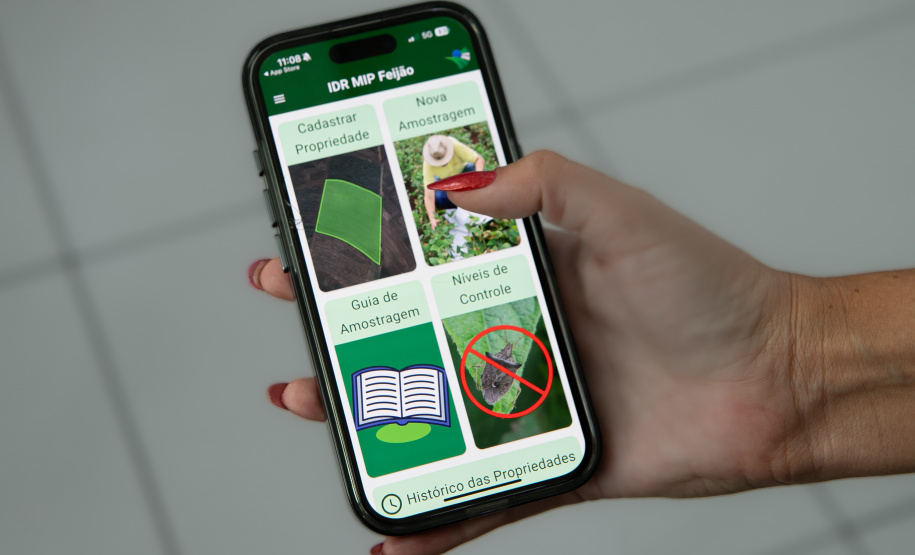 SEAB - APLICATIVO FEIJÃO