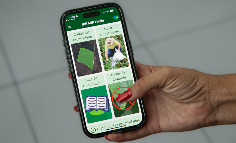 SEAB - APLICATIVO FEIJÃO