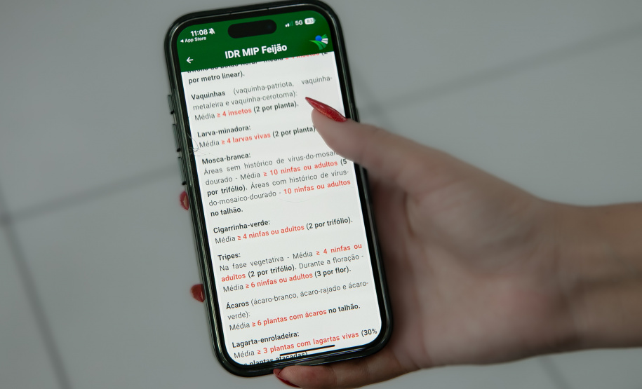 SEAB - APLICATIVO FEIJÃO