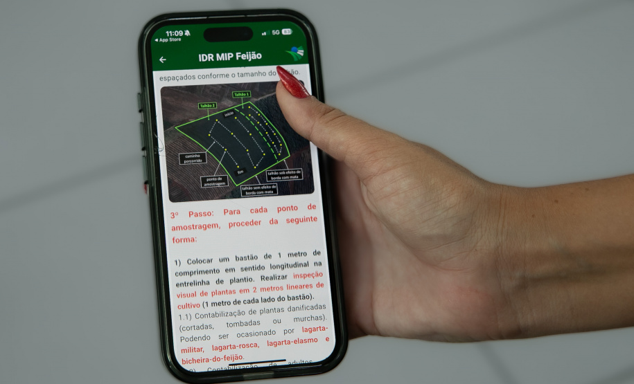 SEAB - APLICATIVO FEIJÃO