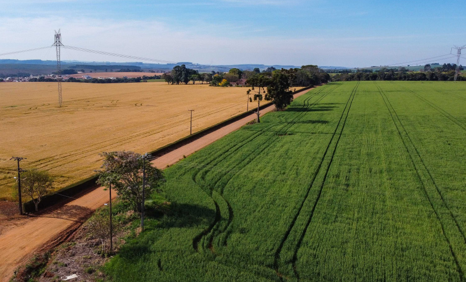 Deral apresenta preços de terras de 2025