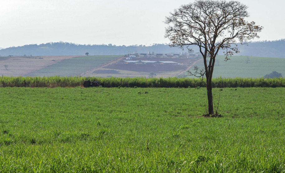 Deral apresenta preços de terras de 2025