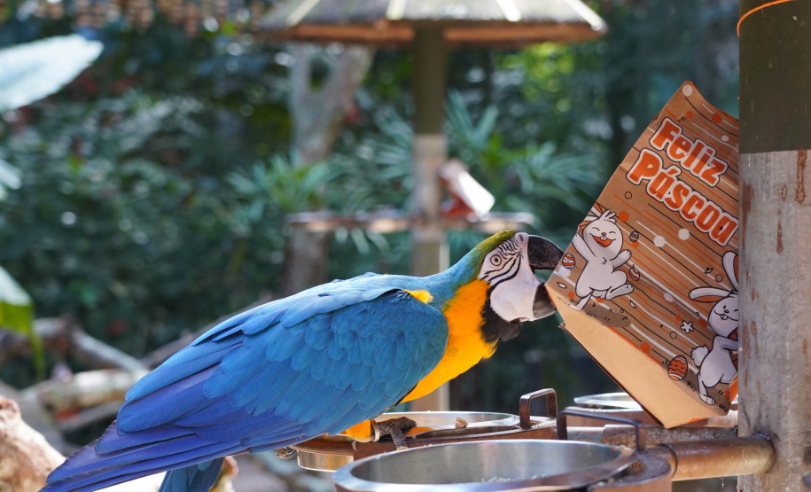 SETU No feriadão, Paraná registra grande movimento turístico e quase 100% de ocupação hoteleira
