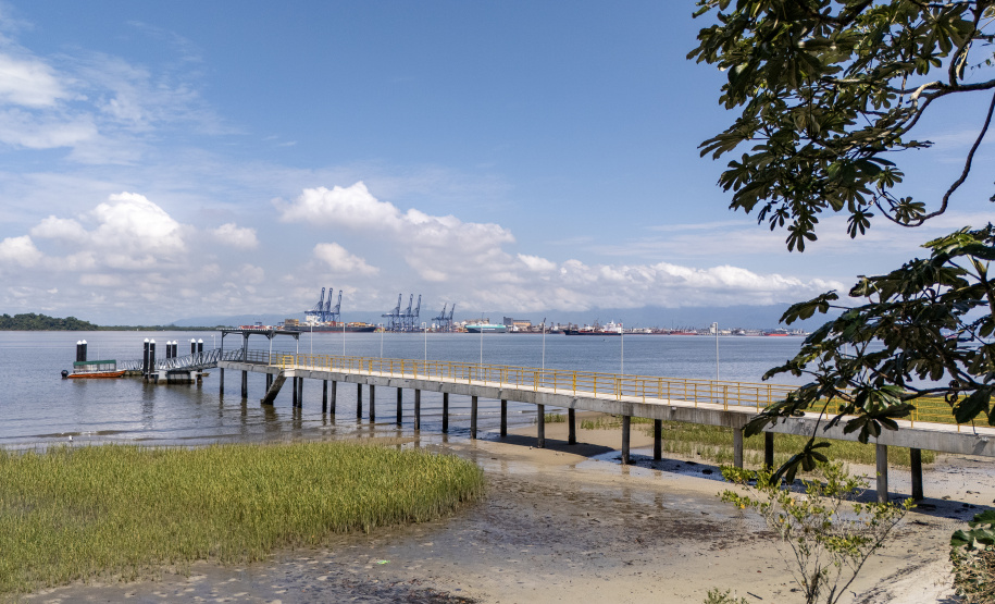 Portos do Paraná realiza oficina de coleta e despolpa do açaí juçara em comunidade no Litoral