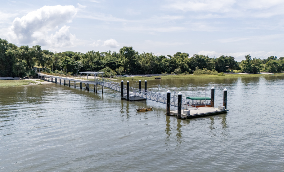 Portos do Paraná realiza oficina de coleta e despolpa do açaí juçara em comunidade no Litoral