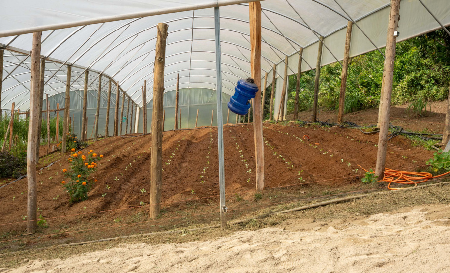 SEGURANÇA ALIMENTAR