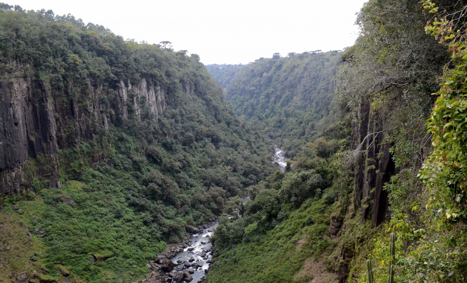 Todos abertos: parques estaduais vão funcionar com horário normal durante todo o feriado prolongado.