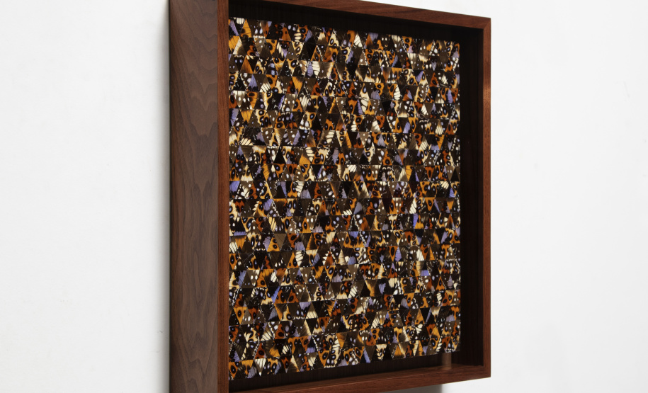 MON realiza nova exposição internacional