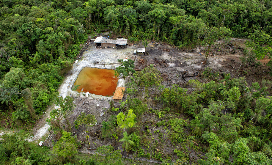 IAT aplicou mais de R$ 1,8 milhão em multas por crimes ambientais durante a temporada de verão 2024/2025.